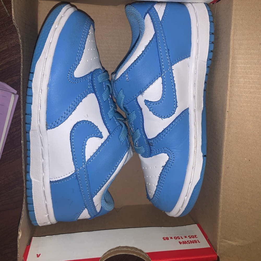Toddler Nike Dunks